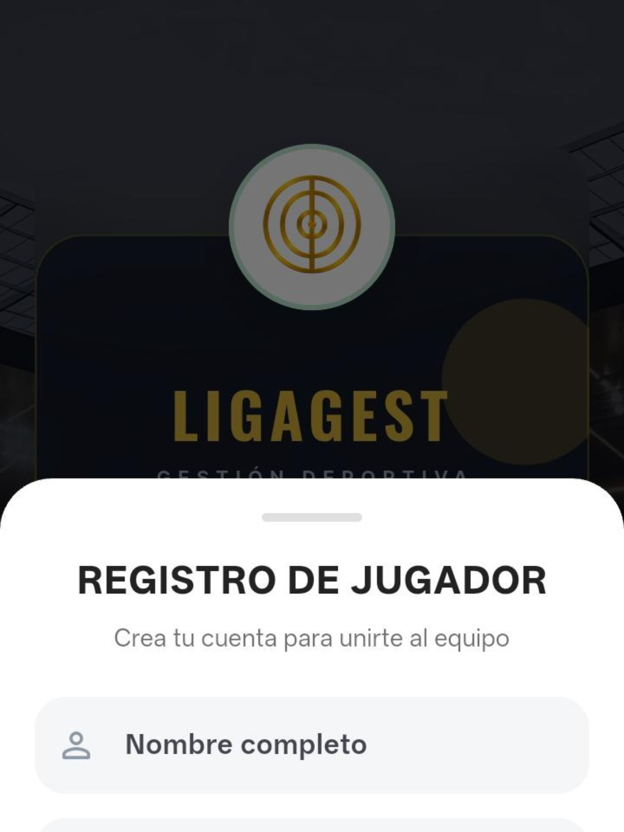 LigaGest Futbol