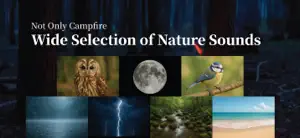 TA-KI-BI Nature Sound screenshot 3