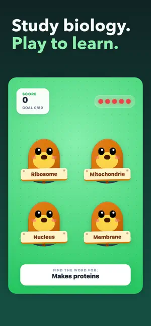 StudyArcade: Study Games screenshot 2