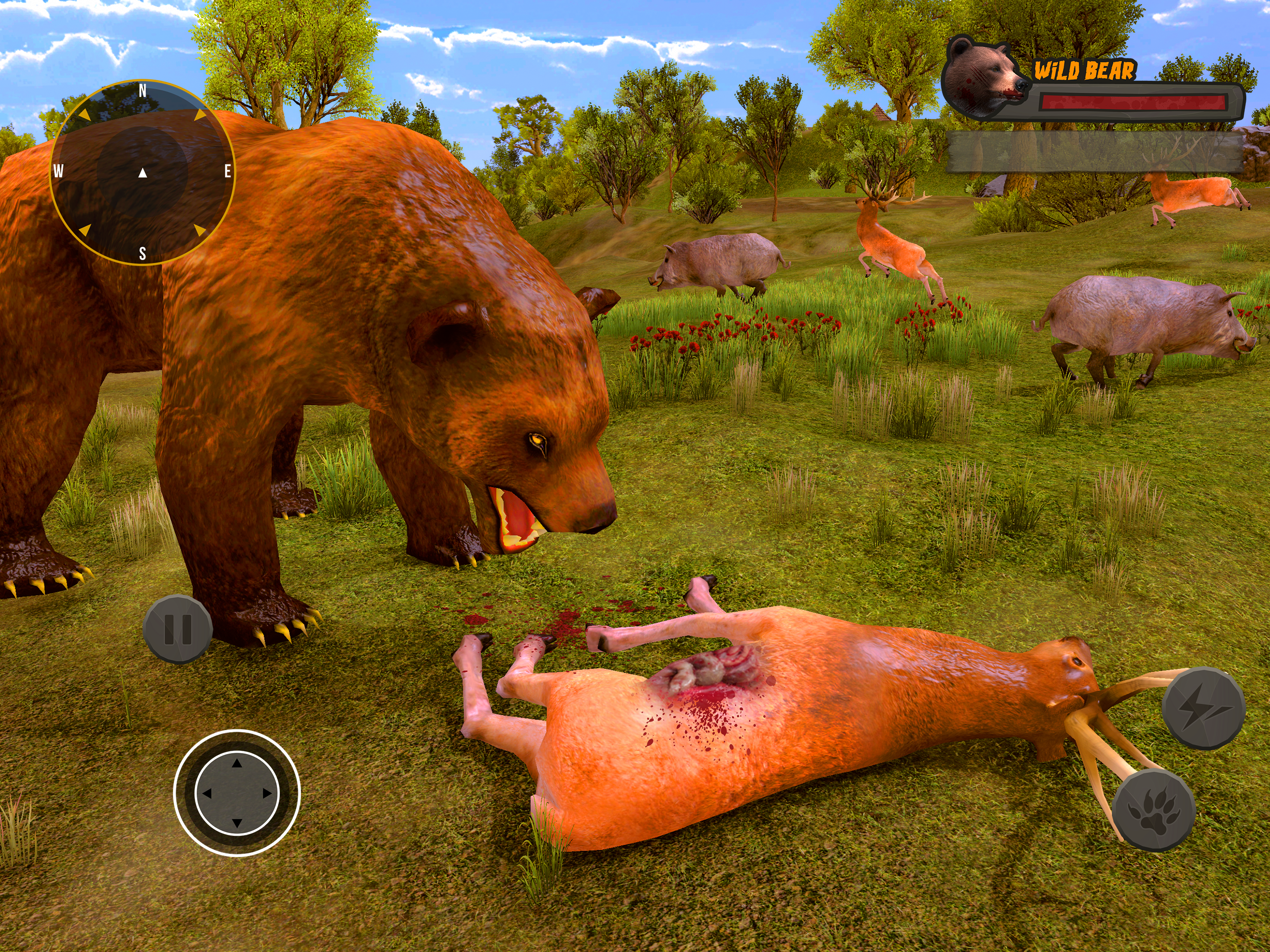 Grizzly Bear Wild Attack