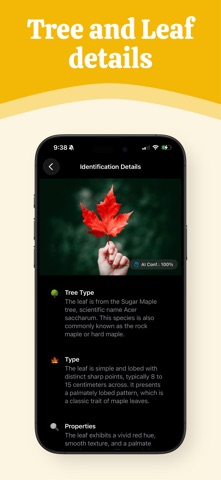 Leaf, Tree & Plant Identifier Screenshot 2 of 9
