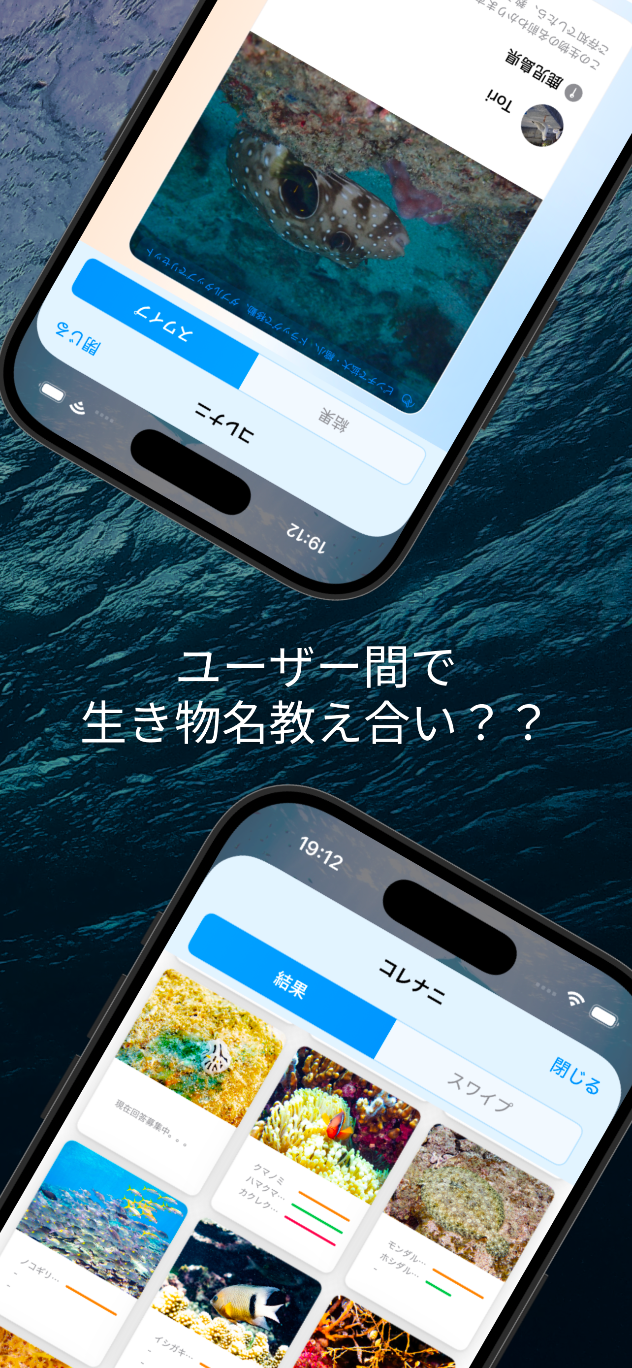 mog-log｜みんなで作る海の生き物図鑑