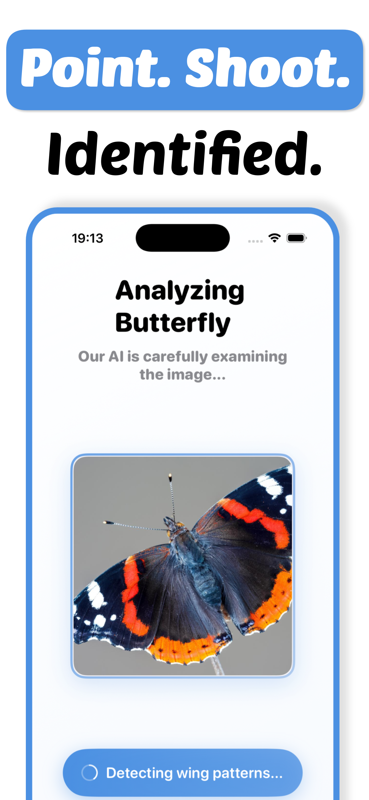 Butterfly Identifier - Paply