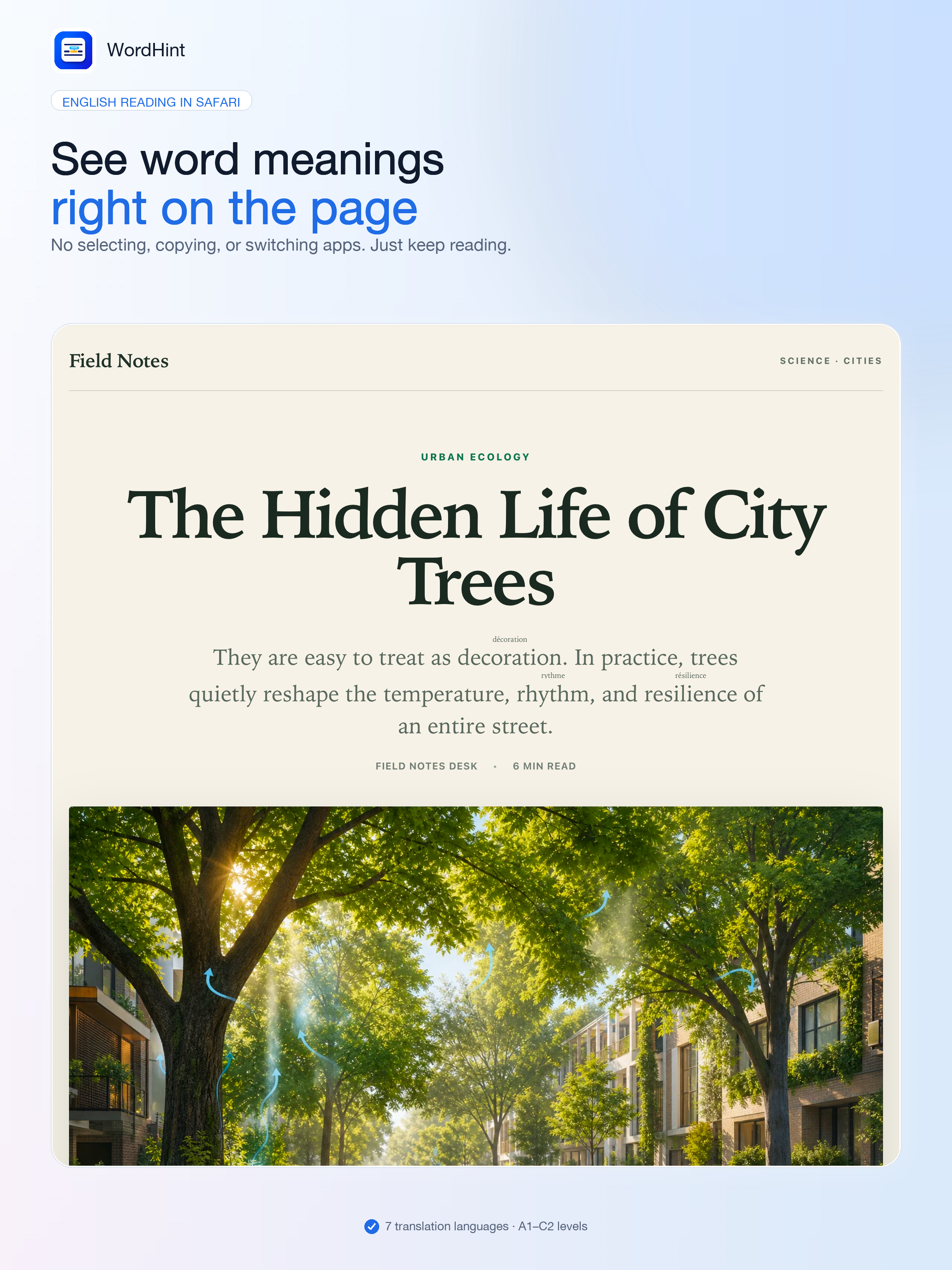 WordHint for Safari screenshot 6