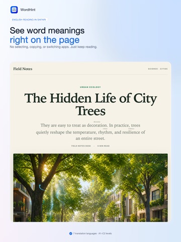 WordHint for Safari iPad screenshot