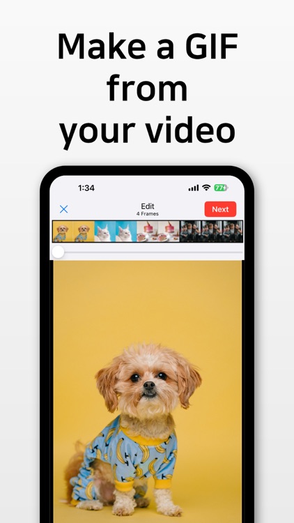 GIF Toaster - GIF Maker