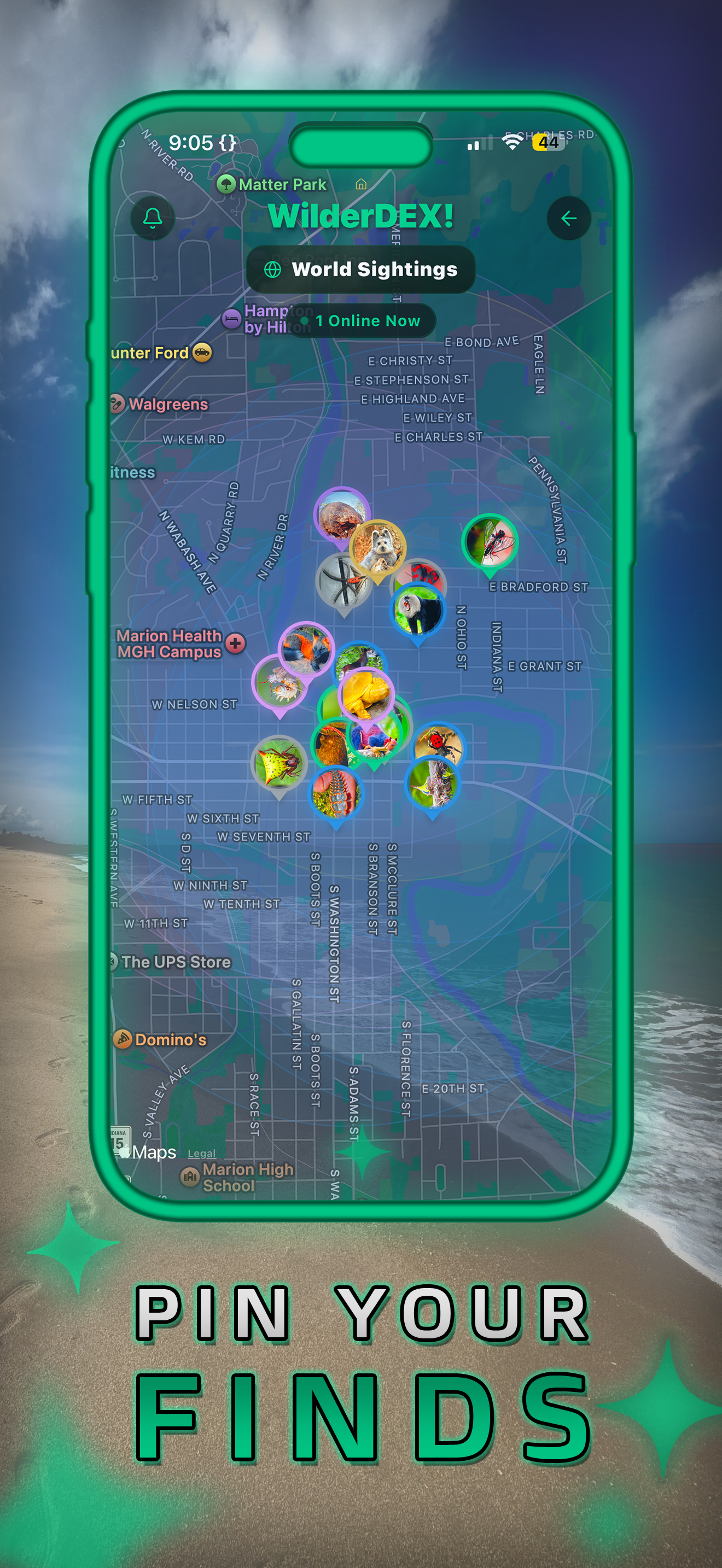 WilderDEX! screenshot 6