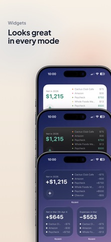 Kozeni: Mindful Spending screenshot
