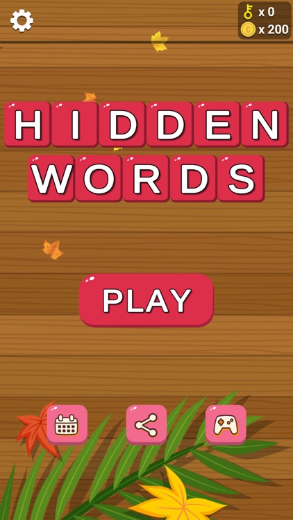 Word Search : Hidden Word