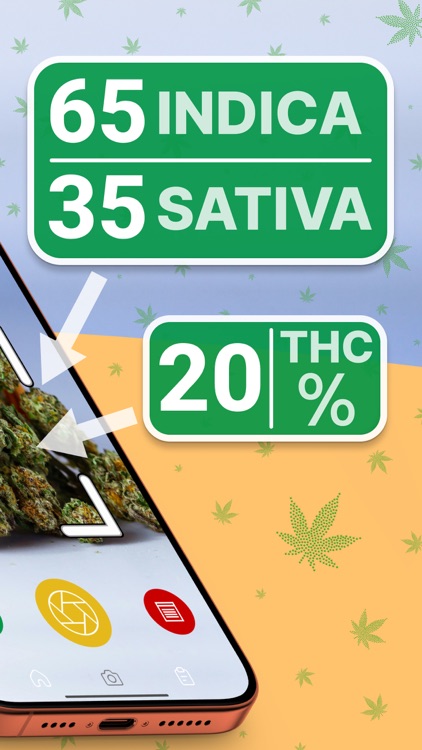 THC Weed Identifier: Kush Scan