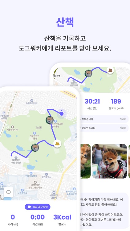 비포펫–산책대행, 산책 기록 다이어리, 집 방문 케어 screenshot-5