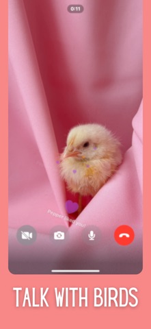 PetFace Live:Animal Video Call iPhone screenshot