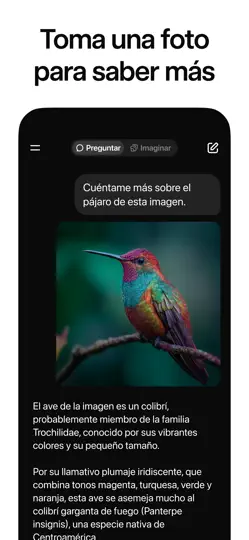 Captura de pantalla de Grok - Asistente De IA en iPhone 4