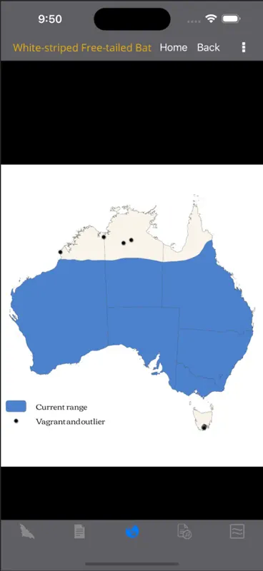 Field Guide to Australian Bats screenshot 5 of 10