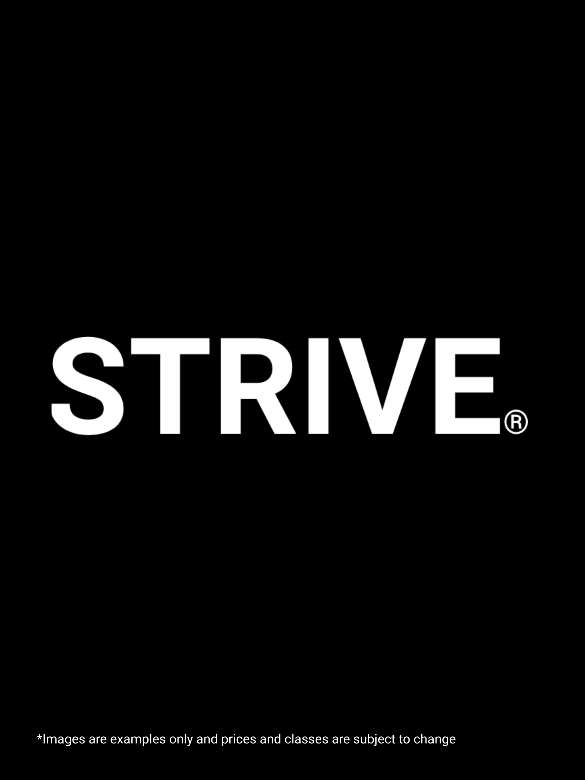 STRIVE TC screenshot 10