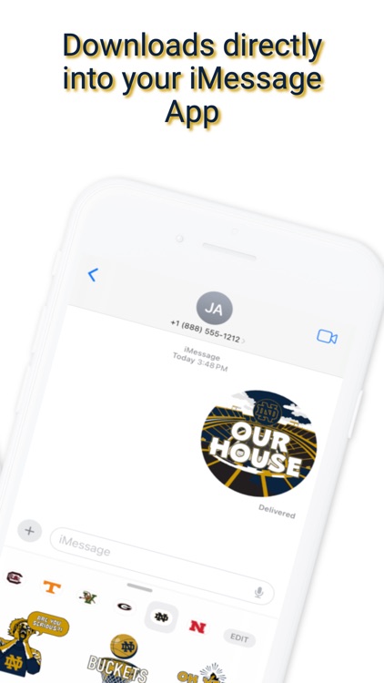 Notre Dame Stickers 2024