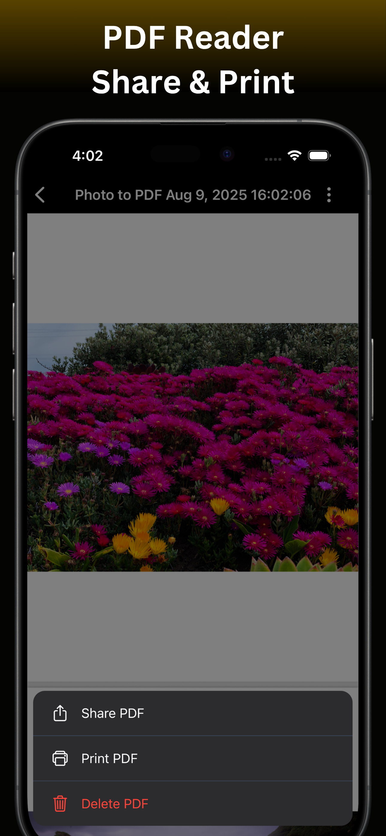 Convert Image to PDF : Pro screenshot 3
