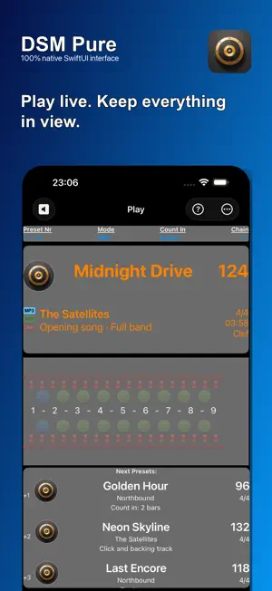 DSM-Pure screenshot 1