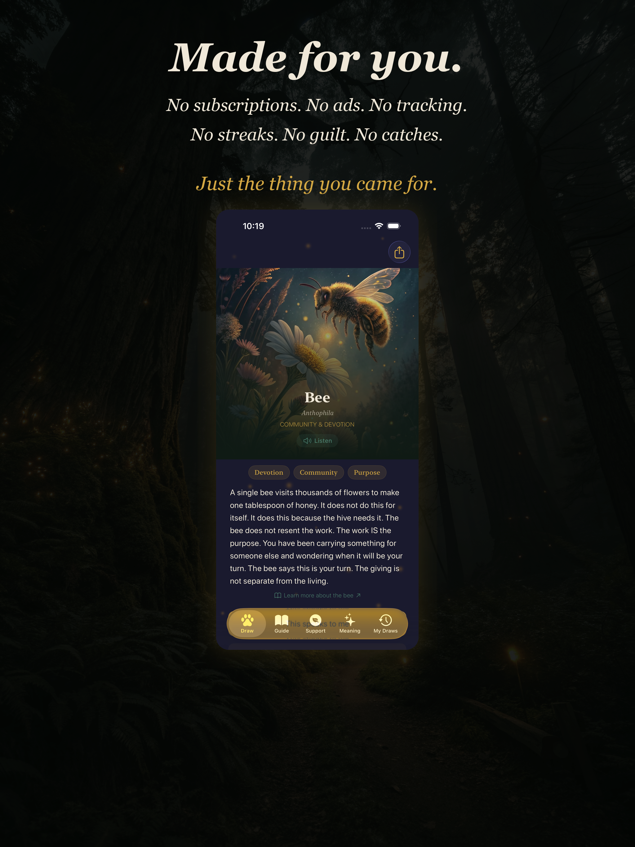 Animal Guide Deck & Symbolism screenshot 20