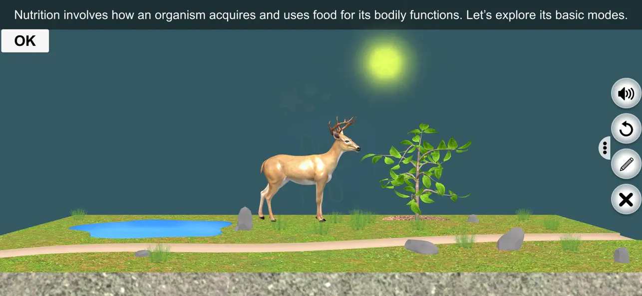 Screenshot #1 pour Photosynthesis by EduTech Era