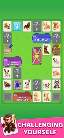 Category Flow: Card Connect Screenshot 4 of 4
