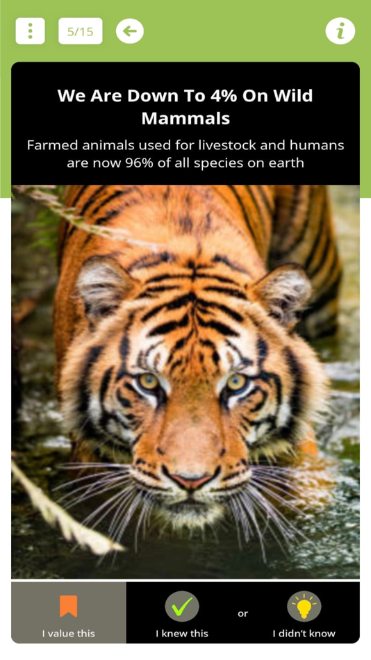 #5. Ecoshe Vegan Flashcard Quiz (iOS) 由: Heather Drummond