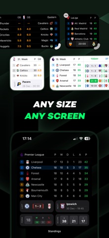 Standings · Live Sport Widgets screenshot