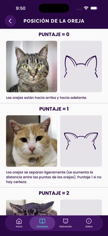 Feline Grimace Scale iPhone screenshot 2