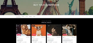 Petbnbhub screenshot