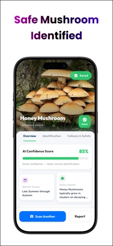 AI Mushroom Detectors screenshot