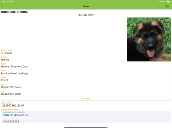 Screenshot #5 pour DogScroll