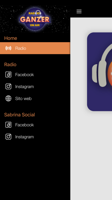 RadioGanzer Screenshot