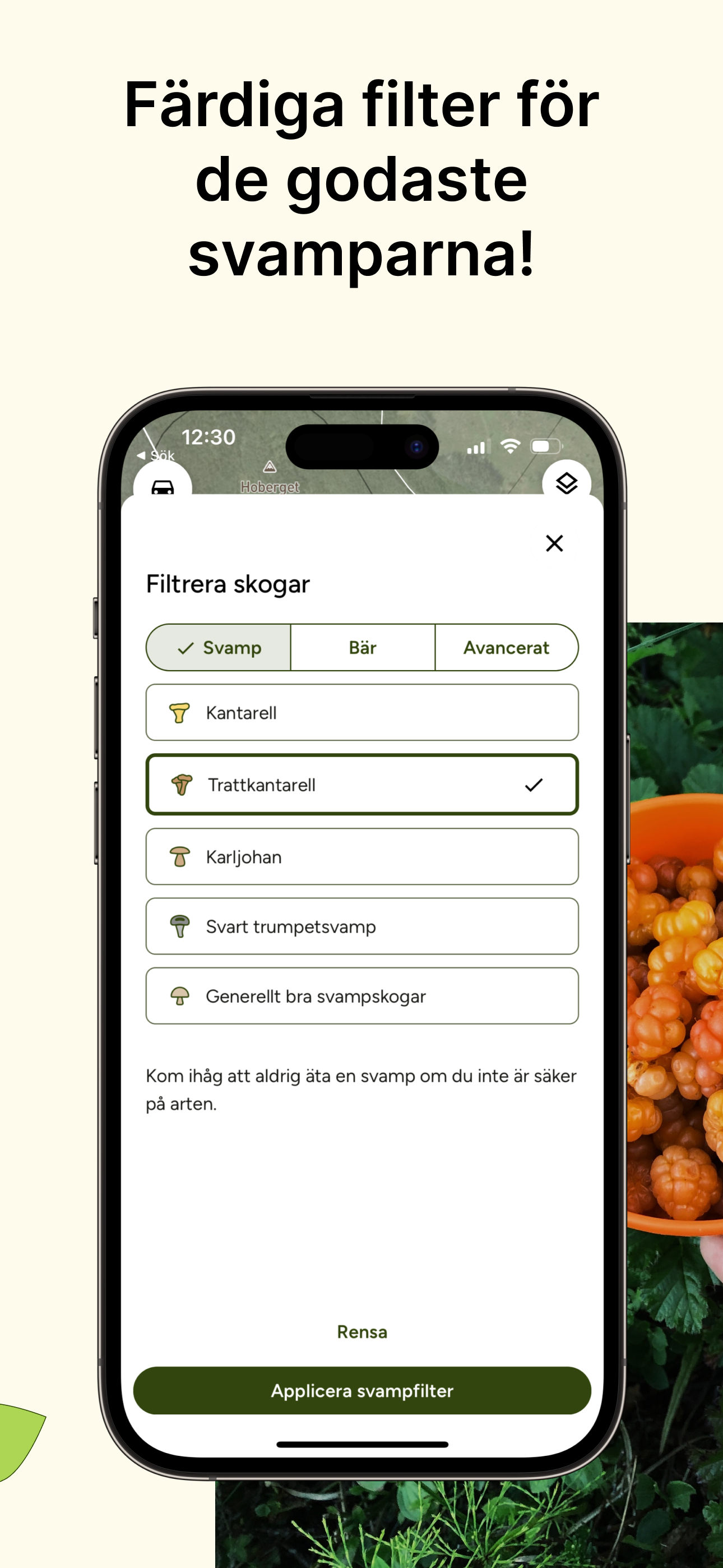 Hitta Skog: Svamp och Bär screenshot 5