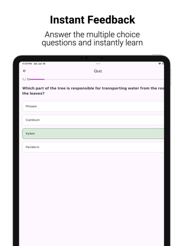 ETW Flashcards iPad screenshot