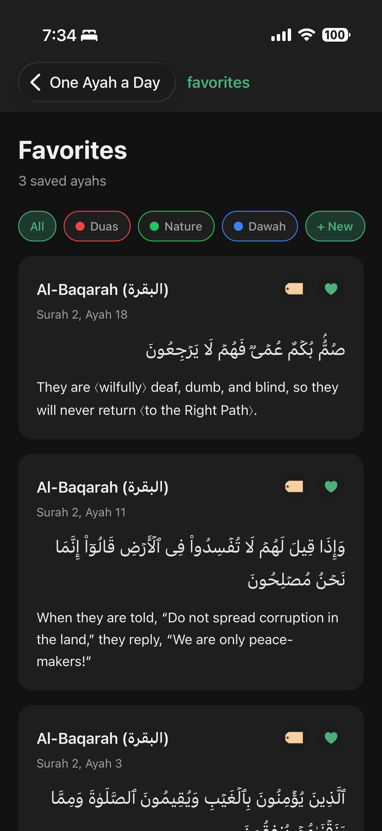 One Ayah a Day