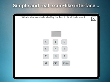 Dlr Exam Pro iPad screenshot