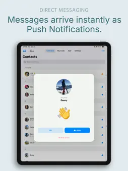 PingPair screenshot 9