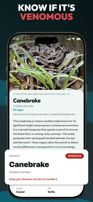 Primo Snake - Snake Identifier screenshot 3