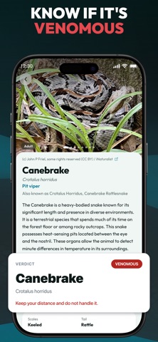 Primo Snake - Snake Identifier Screenshot 3 of 6