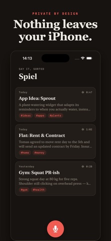 Spiel — Say It, Sorted iPhone screenshot