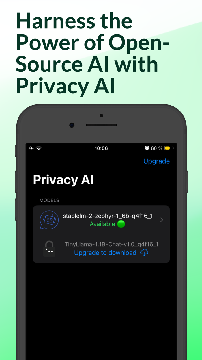 Privacy AI Offline Chat Bot