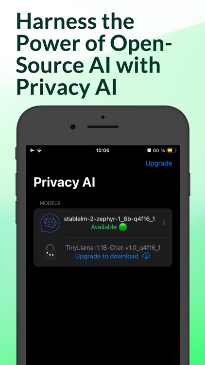 Privacy AI Offline Chat Bot