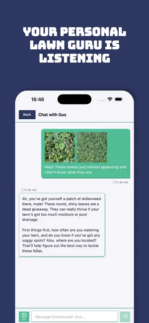 Grassmaster Gus - Lawn Care AI screenshot 3