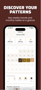 Caffeine Tracker - Daily Log screenshot