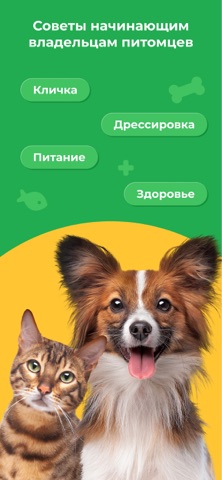 Kinpet: Питомцы, Объявления screenshot