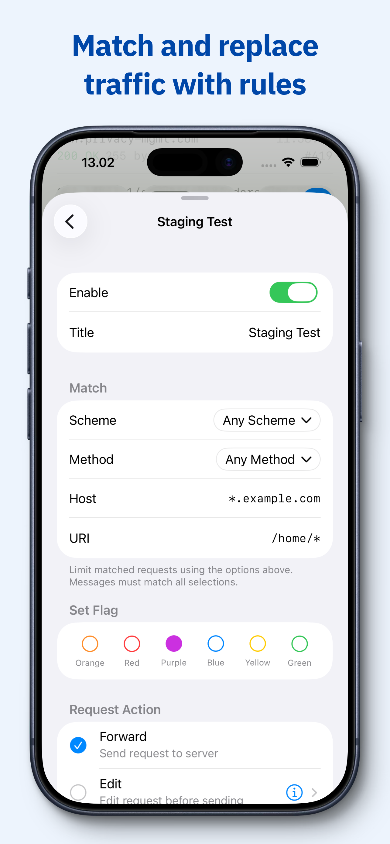Proxygen screenshot 9