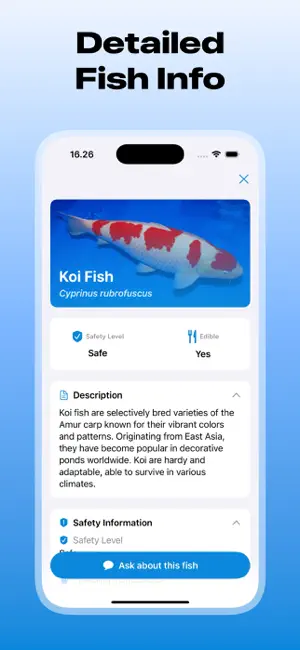 Fish Identifier: Finni screenshot 2
