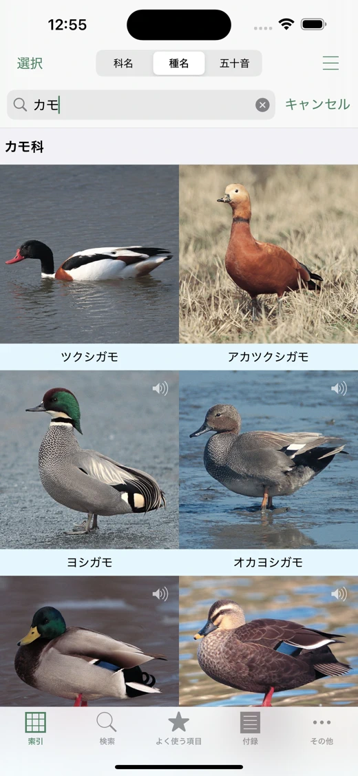 日本の野鳥（山溪ハンディ図鑑） screenshot 3
