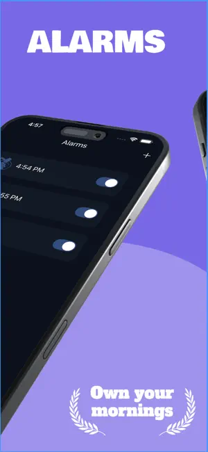 Knock Rooster screenshot 2