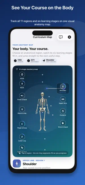 Musculoskeletal Anatomy Tutor screenshot 3